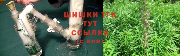прущий лед Верея