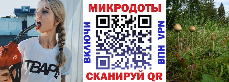 Галлюциногенные грибы мухоморы  hydra онион  Горбатов 